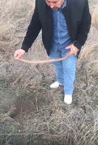 Konya'da kafasından tuttuğu yılanı fare deliğine bırakan adam şaşırttı - Resim: 4