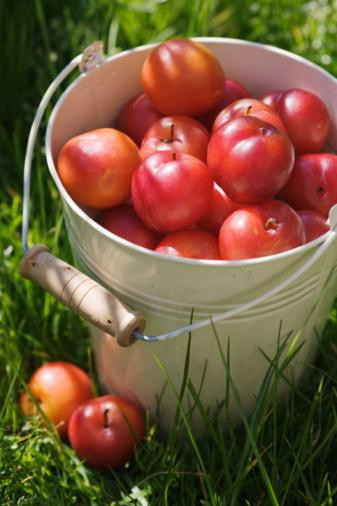 Hangi meyveden ne kadar yenmeli? - Resim: 2