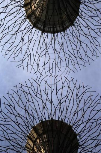 Haftanın unutulmaz fotoğrafları - Resim: 4