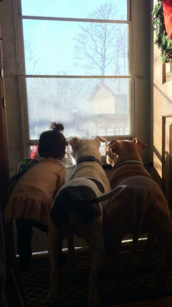 Günün en ilginç 50 fotoğrafı - Resim: 3