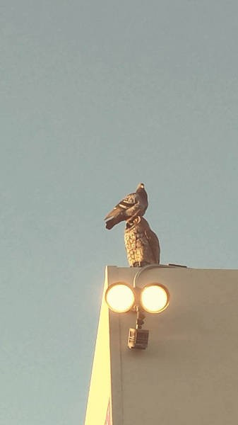 Umursamazlıkta zirve yapanlar! - Resim: 1