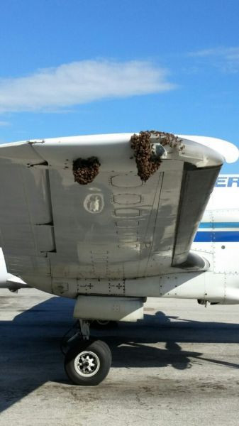 Günün en ilginç kareleri - Resim: 1