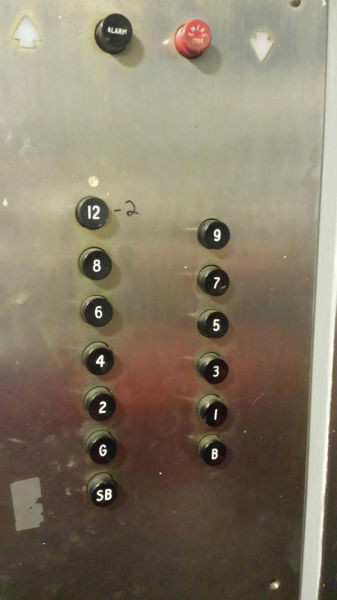 Yaptıkları işlerden zevk alanlar - Resim: 2