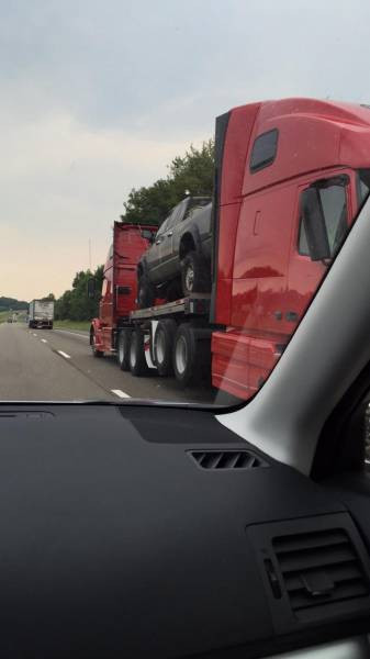 Günün en sevilen 40 fotoğrafı - Resim: 4