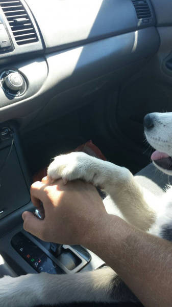 Cumartesine gününe özel fotoğraflar - Resim: 2