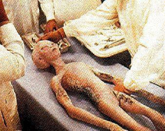 Uzaylılar bir gün kapınızı çalarsa - Resim: 4