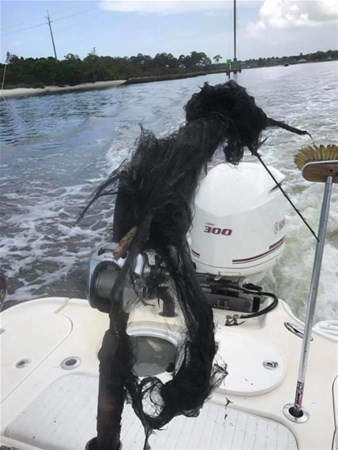 Evini tadilat ettiriyordu temelinden çıkan şeyle hayrete düştü - Resim: 4