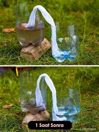 Bu pratik bilgiler hayat kurtarır - Resim: 2