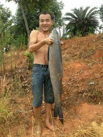 Bir balık yakaladı içinden öyle bir şey çıktı ki ağzınız açık kalacak - Resim: 1