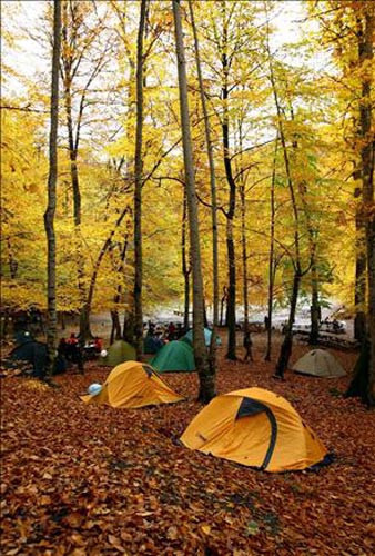 Yedigöller'de sonbahar  - Resim: 3