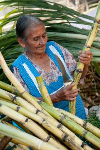 Şeker hakkında bilmediğiniz 18 şey - Resim: 4