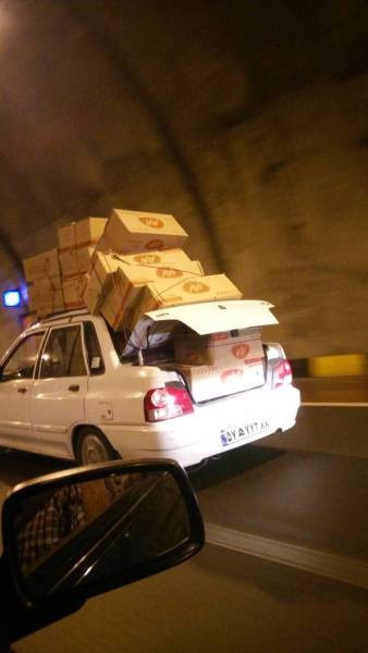 Günün en çılgın fotoğrafları! - Resim: 1