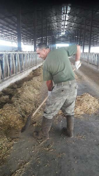 JÖH tim komutanlığından inek çobanlığına - Resim: 1
