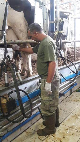 JÖH tim komutanlığından inek çobanlığına - Resim: 4