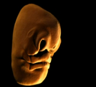 Anne karnında hayat böyle başlıyor - Resim: 2