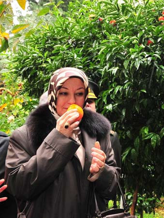 Gül portakal bahçesinde - Resim: 4