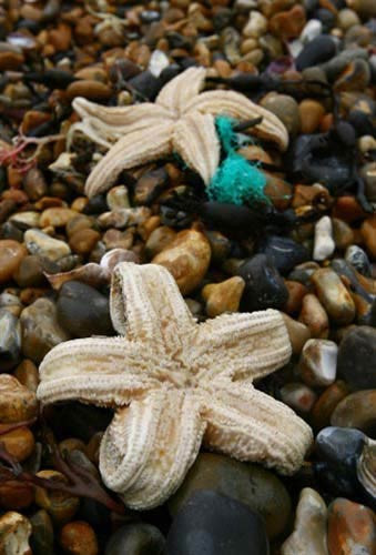 Bunları öğrenince çok şaşıracaksınız! - Resim: 2