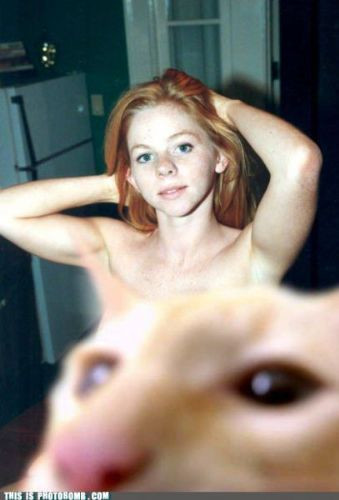 Haftanın en çok tıklanan kareleri - Resim: 4