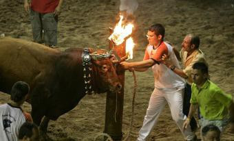 Canlı canlı yakıp böyle eğlendiler! - Resim: 3