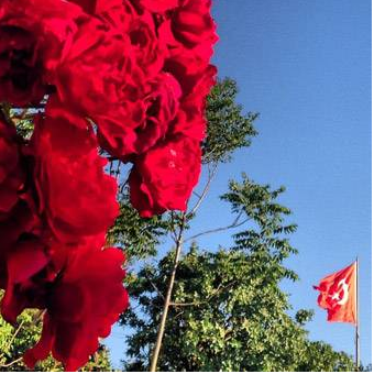 Ünlülerin gündemi objektiflerinde - Resim: 3