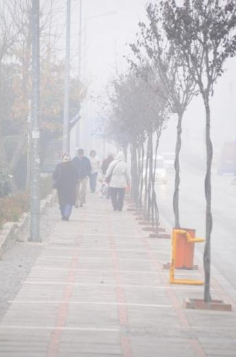 Edirne'de göz gözü görmüyor - Resim: 4