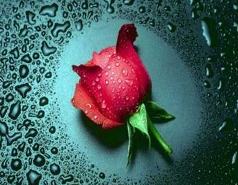 Ezel'le birlikte tekrar meşhur oldu! - Resim: 4