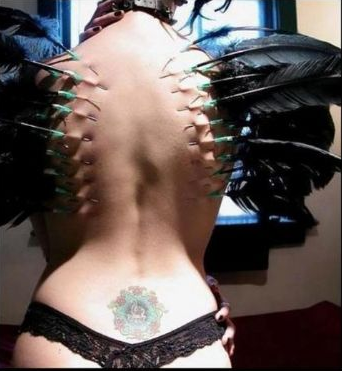 Bu insanlar çılgınlıkta sınır tanımıyor! - Resim: 1