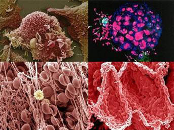 15  muhteşem görüntü - Resim: 1