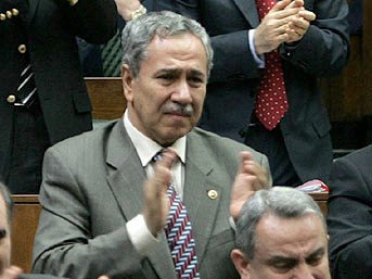 Oy pusulası geyikleri - Resim: 4