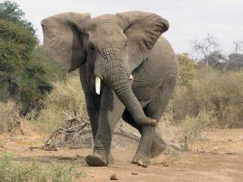 Tarihteki en ilginç deneyler - Resim: 1