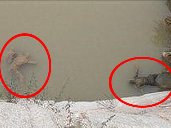 Nehirlerden ceset toplayarak yaşıyor - Resim: 2