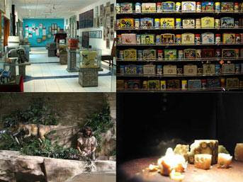 Dünyanın en garip müzeleri - Resim: 1