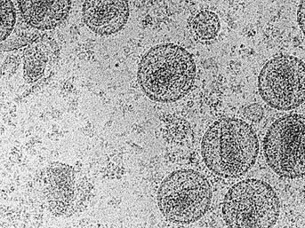 Atatürk'ü Masonlar mı öldürdü? - Resim: 2