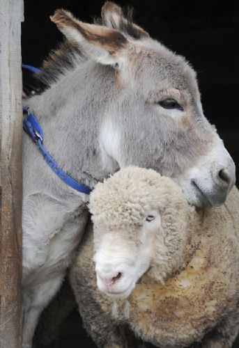 İnternetin en çok tıklananları - Resim: 3