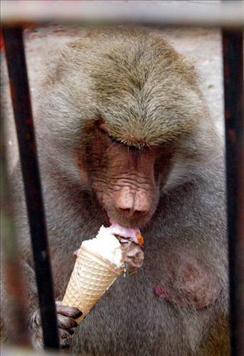 Yurdum insanı birkez daha pes dedirtti - Resim: 3