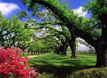 Türkiye'de bedava yapabileceğiniz şeyler! - Resim: 1