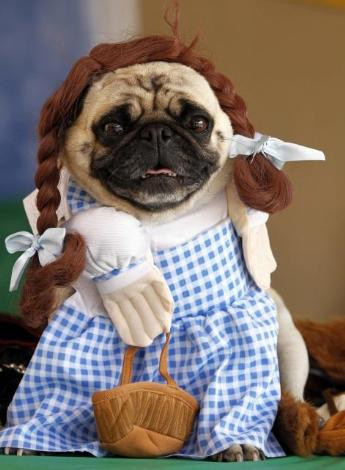 Böyle rezalet görülmedi! - Resim: 4