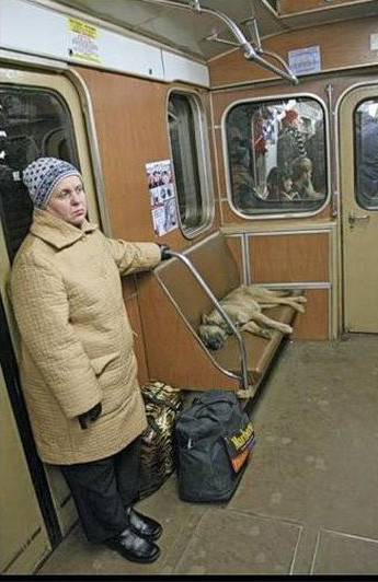 İşte günün en ilginç kareleri - Resim: 1