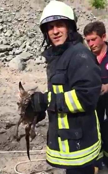 Kuyuya düşen tilki böyle kurtarıldı - Resim: 4
