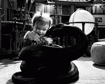 Aklınızı başınızdan alacak eğlenceli pazar gifleri! - Resim: 4