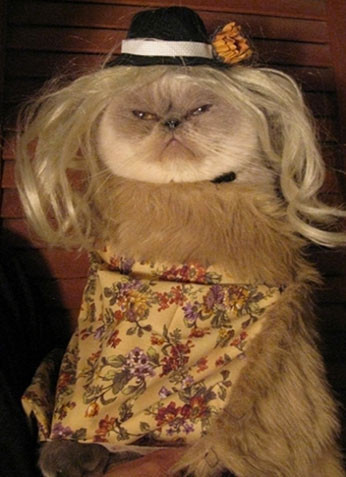 Minikler filmlerden çok şey öğrenmiş - Resim: 3