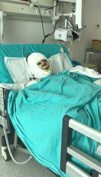 Mersin'de damat üzerine benzin döküp ateşe verdiği kayınvalidesinin alevler içinde yanmasını izledi - Resim: 3