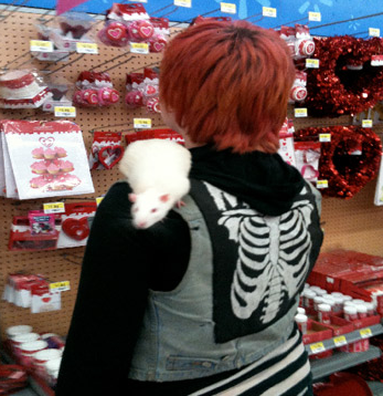 Marketlerin akıl almaz müşterileri - Resim: 3