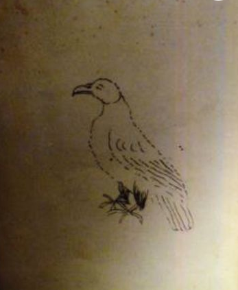 İşte Fatih Sultan Mehmet'in not defteri - Resim: 3