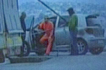 Muhabir kovduran kareler - Resim: 1