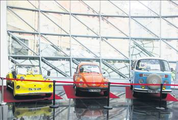 Sergilik Kaplumbağalar Palladium'da - Resim: 1