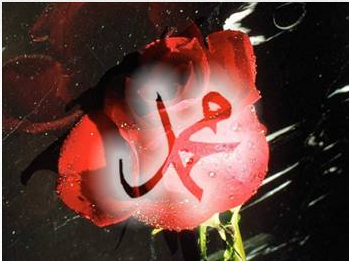 Peygamberlerin mucizevi yönleri! - Resim: 3