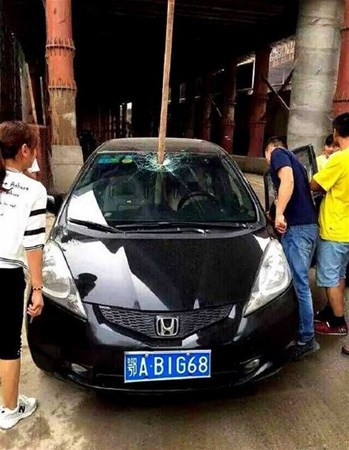 Ölümden kobra pozisyonuyla kurtuldu işte o dehşet verici anlar - Resim: 3