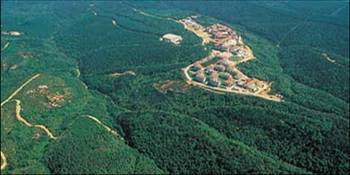 Devletin mal varlığı - Resim: 1