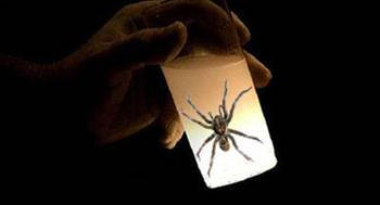 Bu haberler akla zarar! - Resim: 2